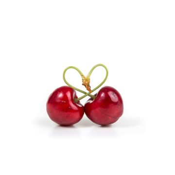 CHERRY PALMREST ERGO